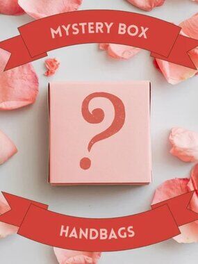 👜HANDBAG MYSTERY BOX!👝👛👜Ladies Mixed Name Brands & Sizes, Great For Resale!